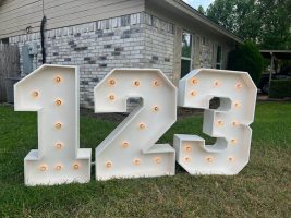 3 Feet LED Numbers