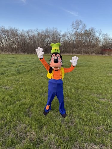 Goofy-Character-Rental-Outdoor-2