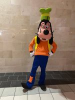 Goofy Character Rental