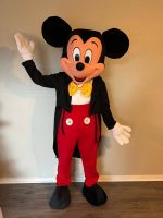 Mickey Mouse Character Rental 2