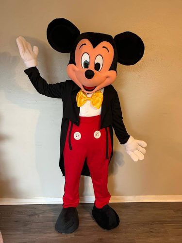 Mickey Mouse Character Rental 2