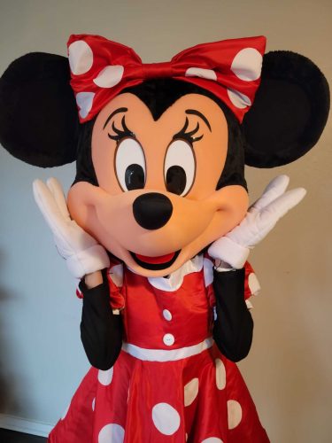 Minnie Mouse Character Rental