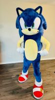 Sonic Character Rental